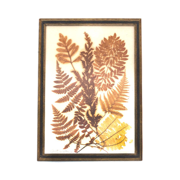Vintage Folk Art Pressed Fern Wall Hanging